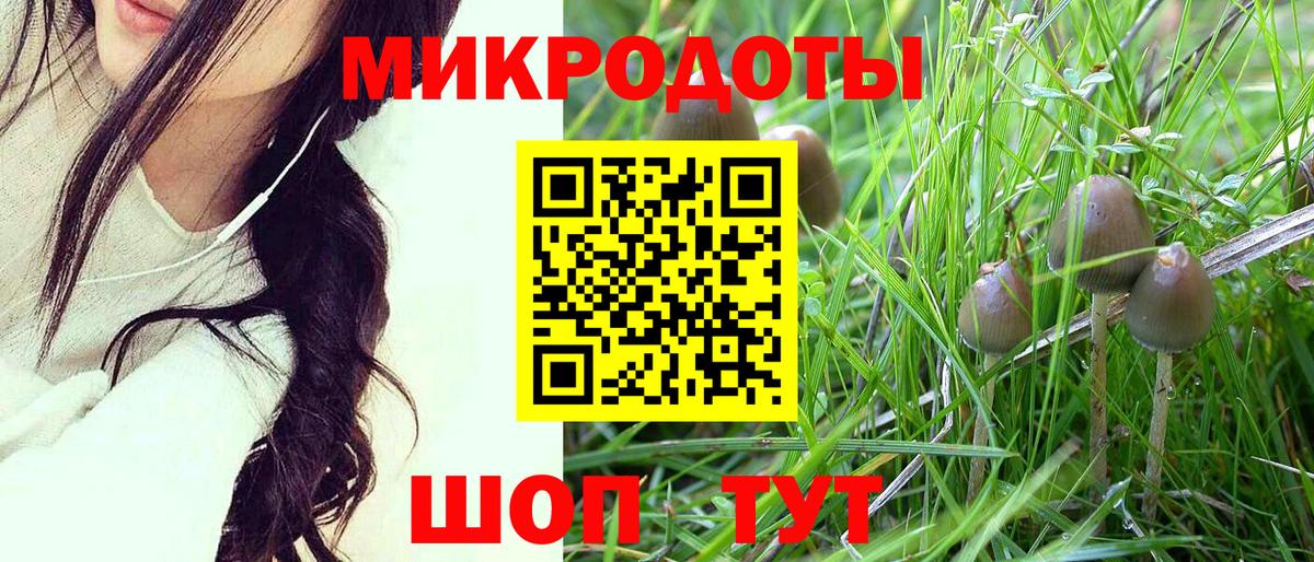 Псилоцибиновые грибы мицелий Медногорск